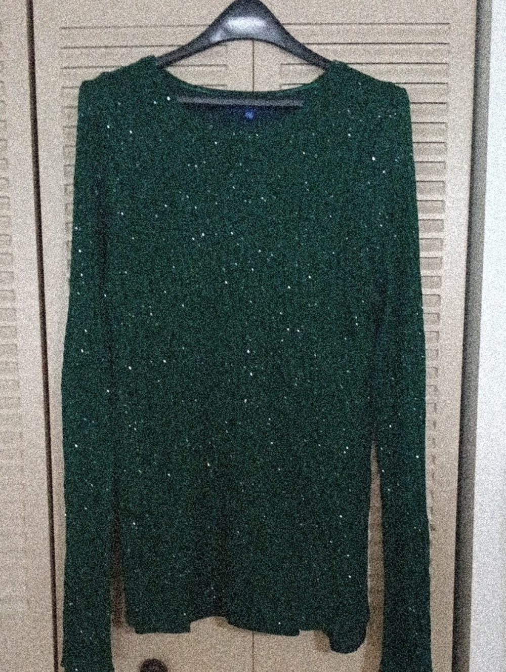 Apt. 9 Dark Green Sparkle Crewneck Sweater